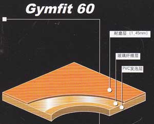 αGymfit 60