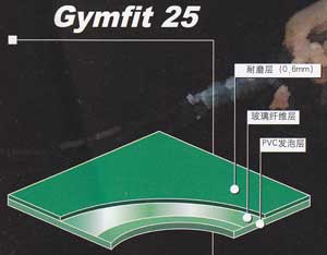 嘉宝Gymfit 25